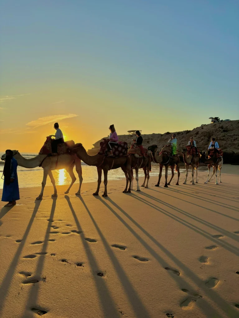 Camel Riding Taghazout Agadir morocco