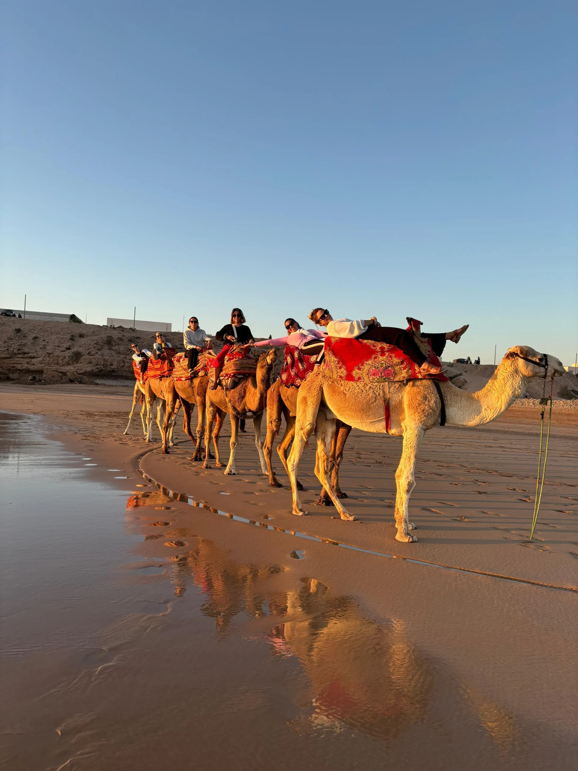 Camel riding tour along the Taghazout coastline