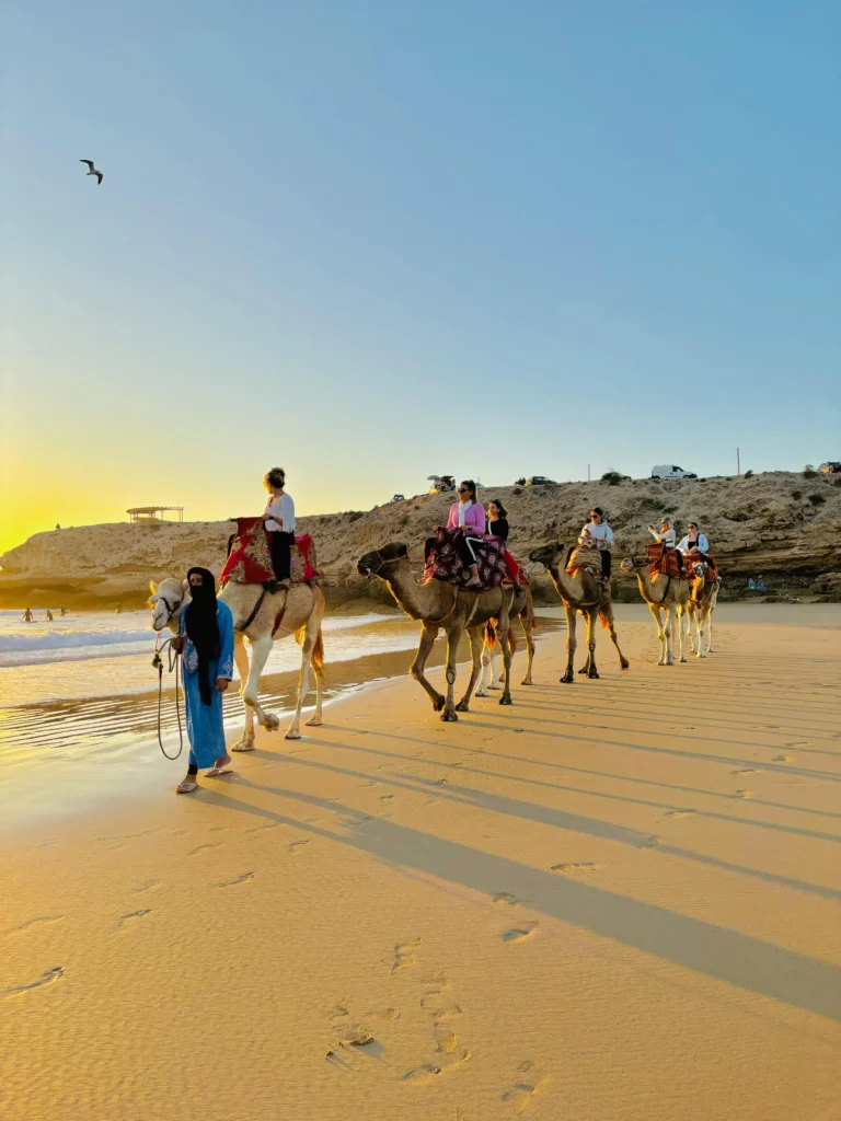 Camel Riding Taghazout Agadir morocco