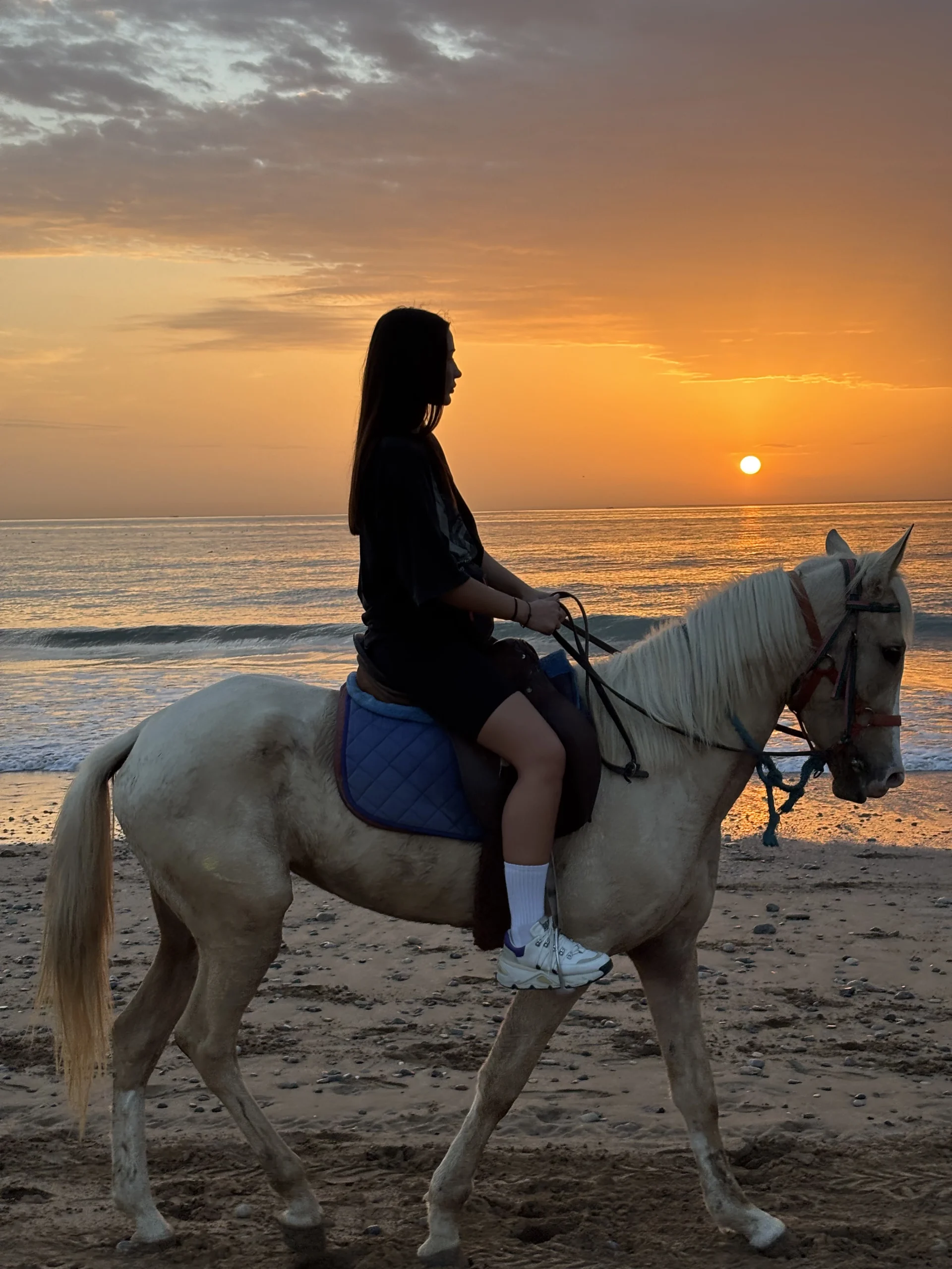 Horse Riding Taghazout, Horse Riding in Taghazout