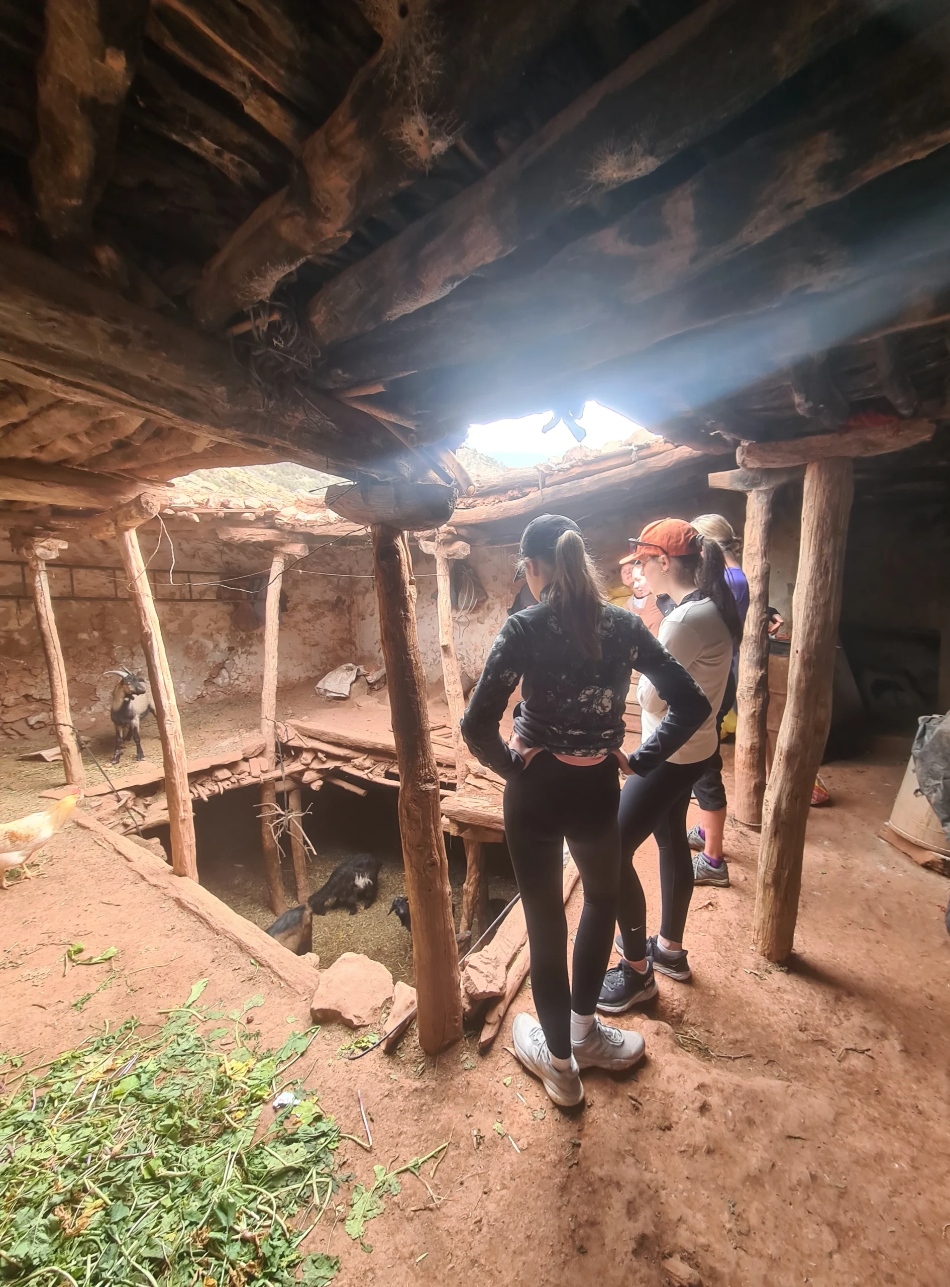 Paradise Valley Hike from Agadir