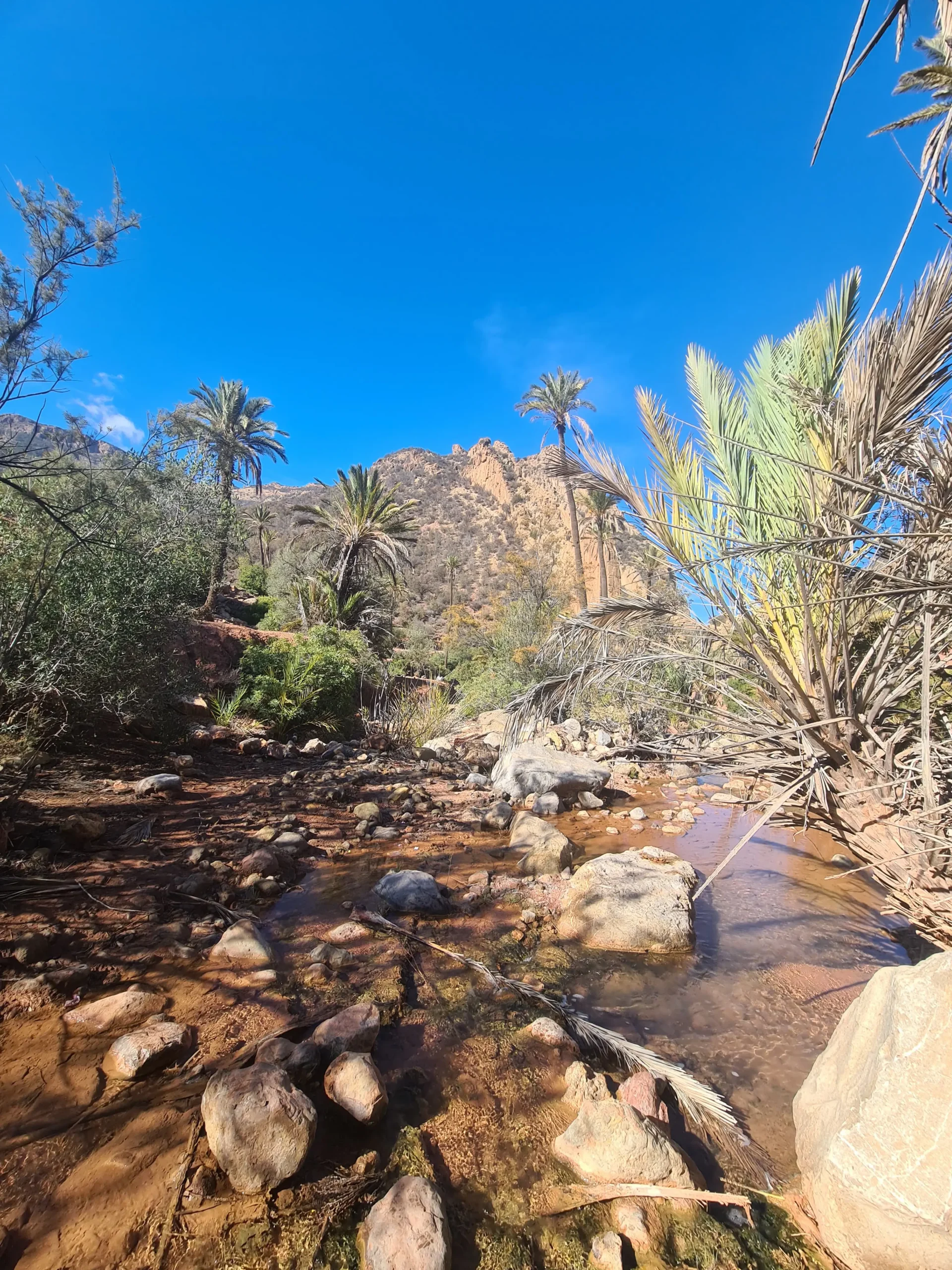 Paradise Valley canyon view