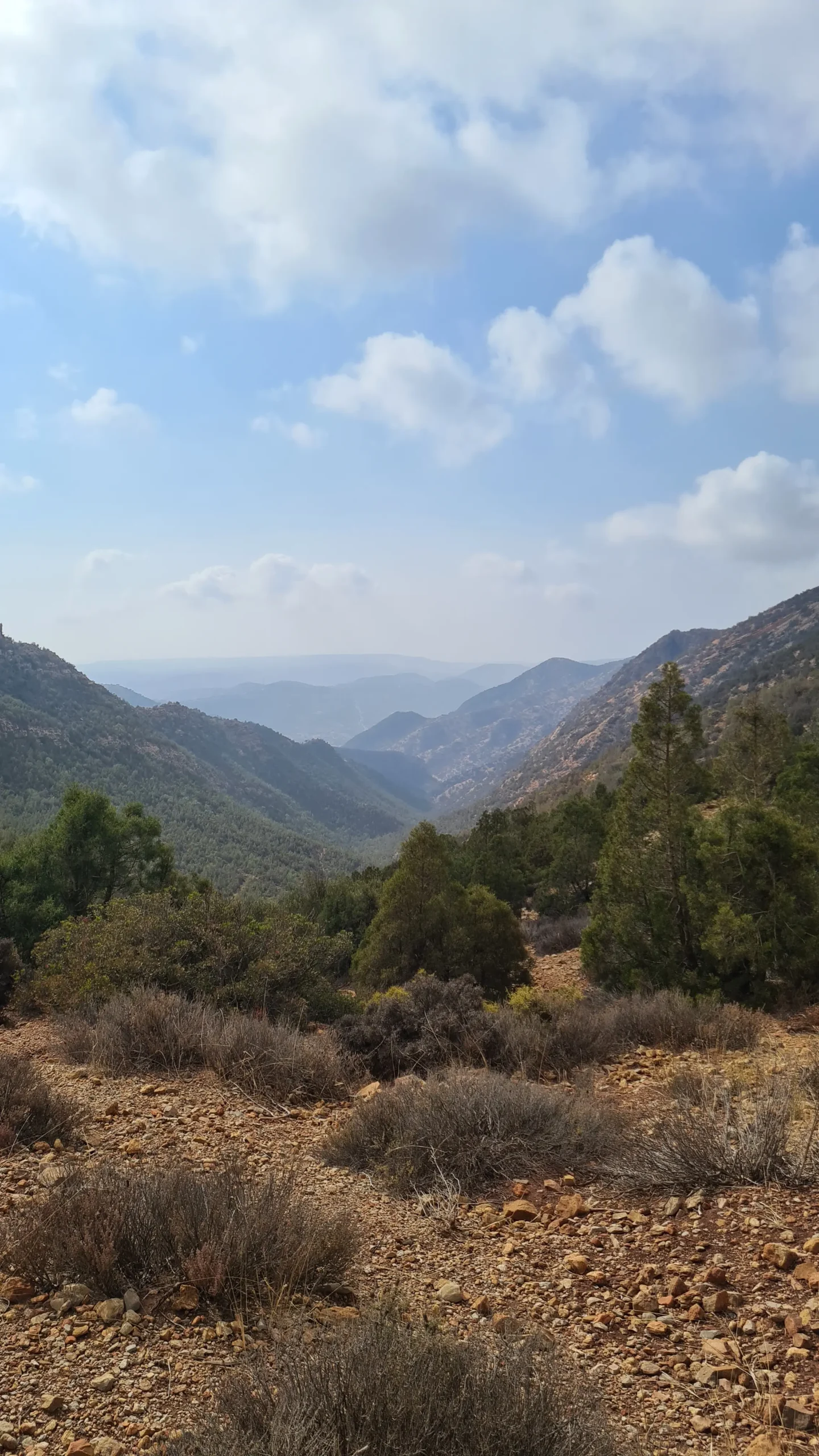 Paradise Valley canyon view
