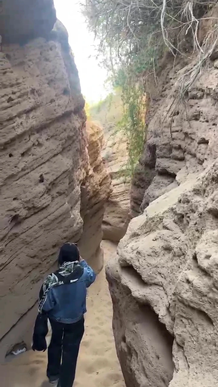 mini desert sandboarding adventure and walk near Agadir & Taghazout.