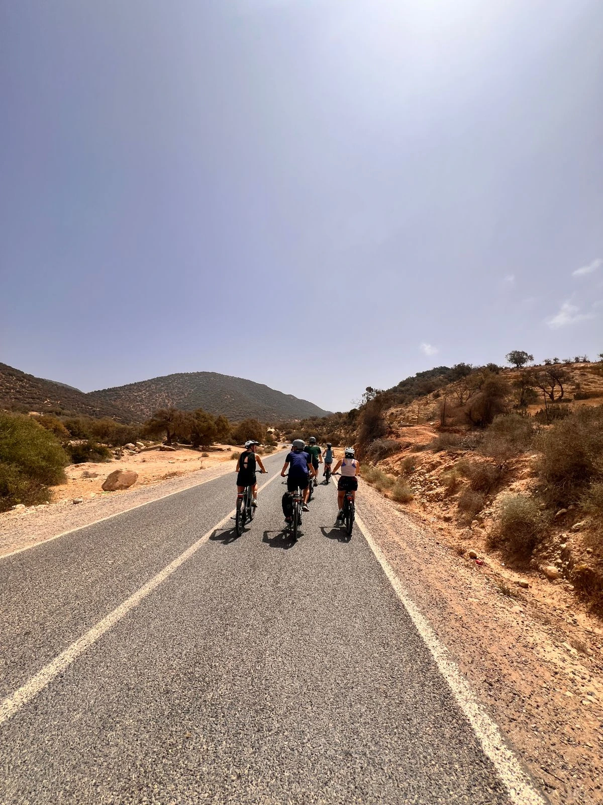 Tour E-Bike Paradise Valley balade panoramique et déjeuner berbère