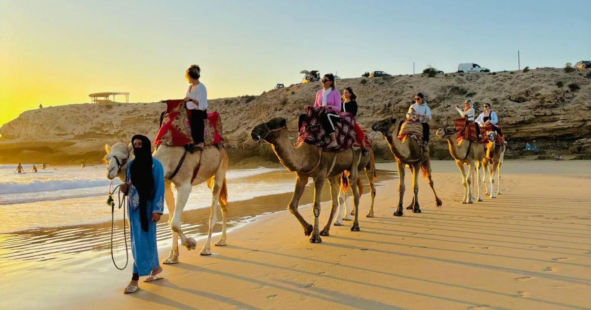 Scenic camel ride along the Atlantic coast at Taghazout